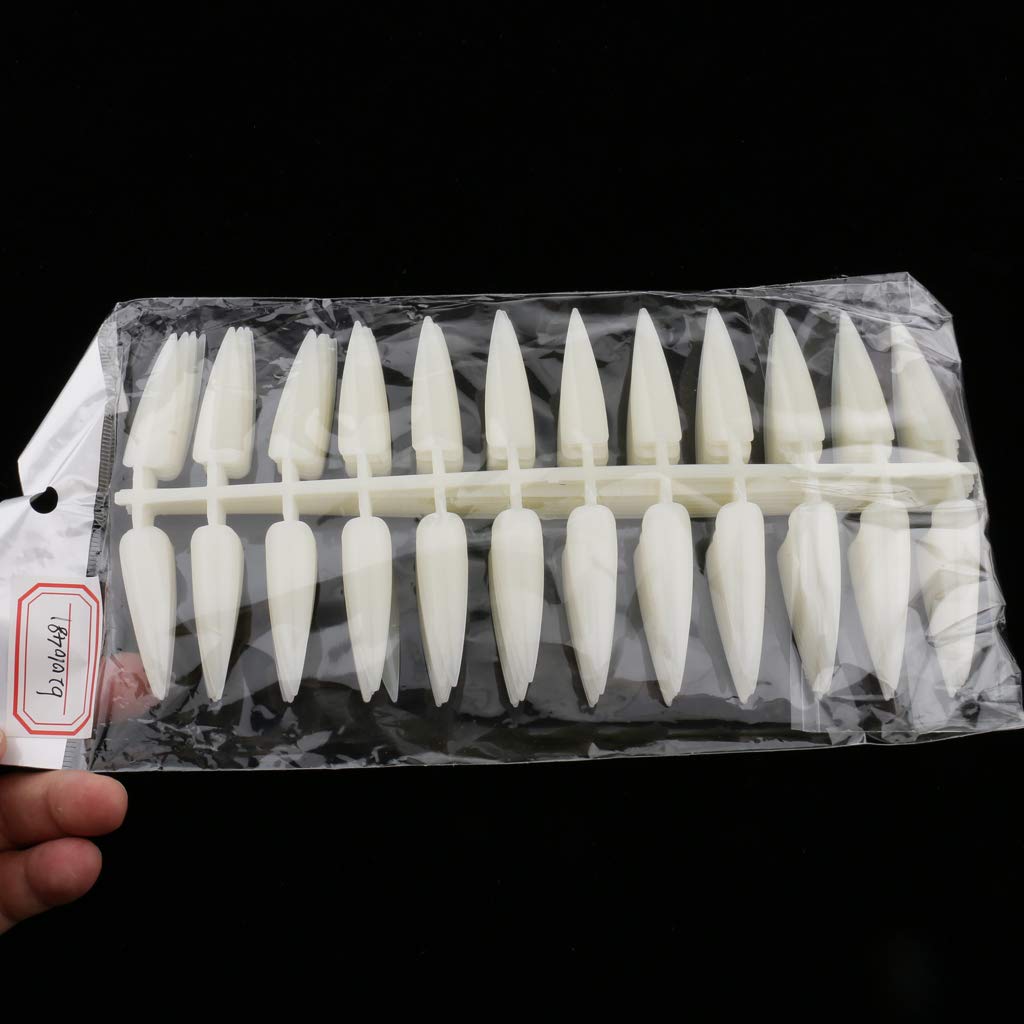 Long Display Tips, Stiletto Shape- 240 Nails