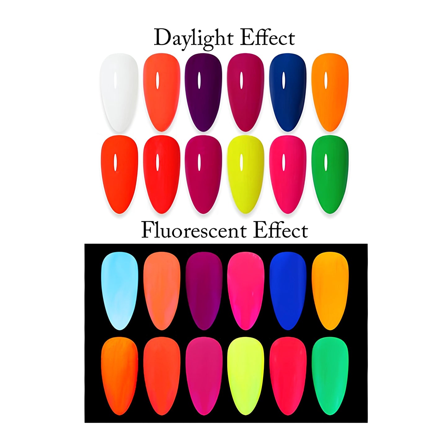 Fluorescent Neon Pigment Powder - Set of 12 Colors