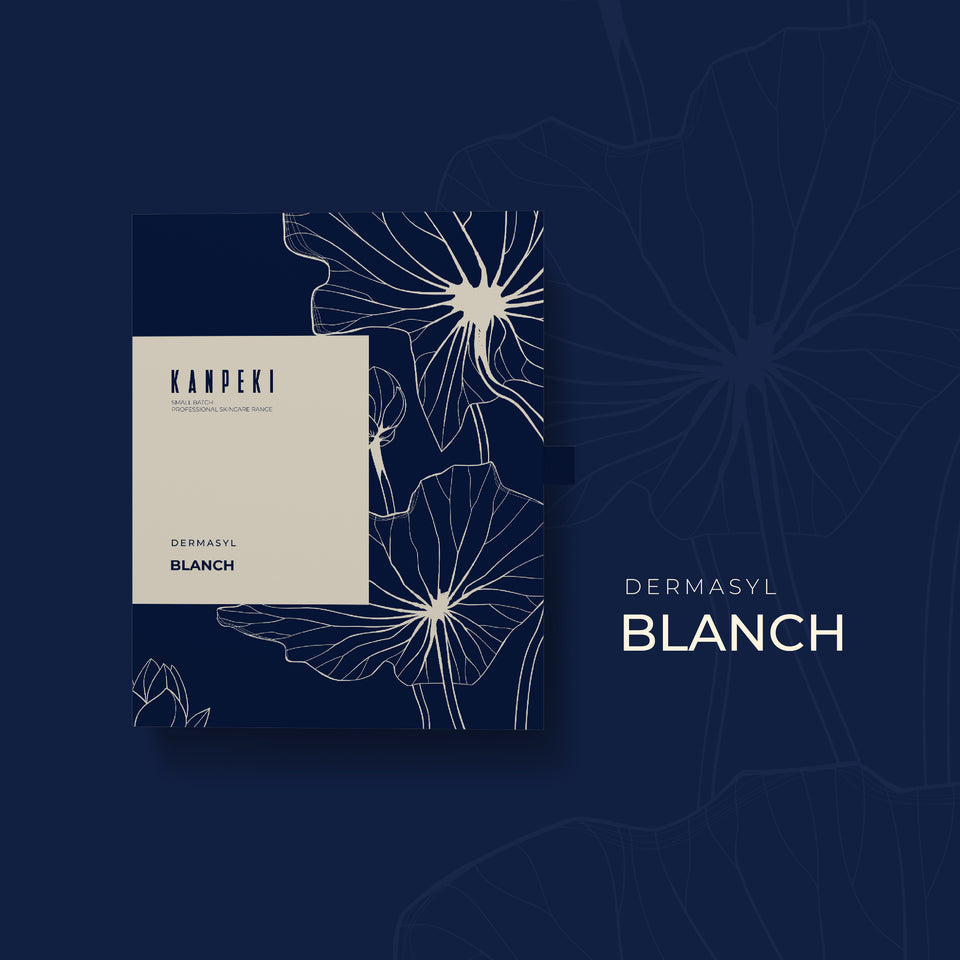 Kanpeki Dermasyl Blanch Facial Kit