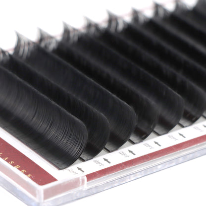 Easyfan Lashes 0.07D Mix
