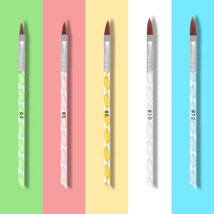 Synthetic Acrylic Brushes Plastic Handle - Set of 5